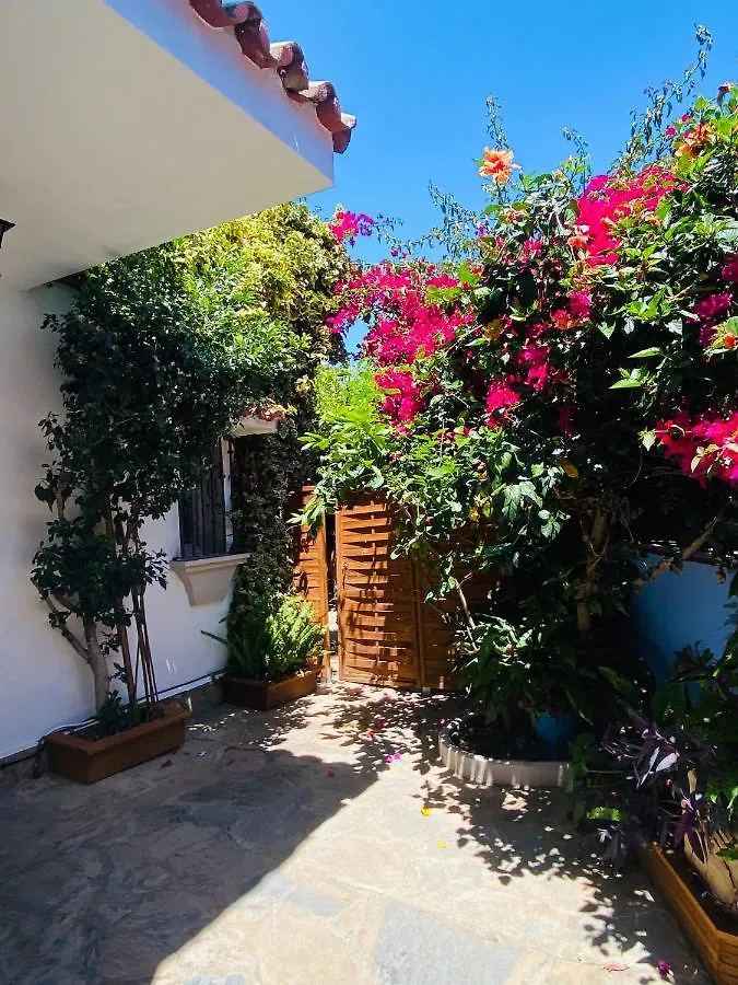 Bed & Breakfast Villa Palma Marbella