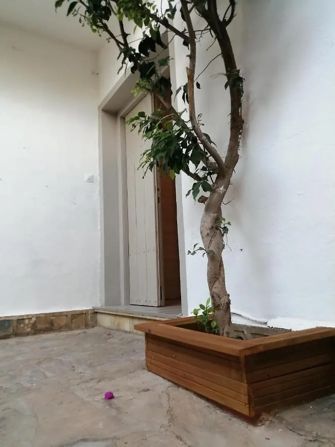 Villa Palma Marbella